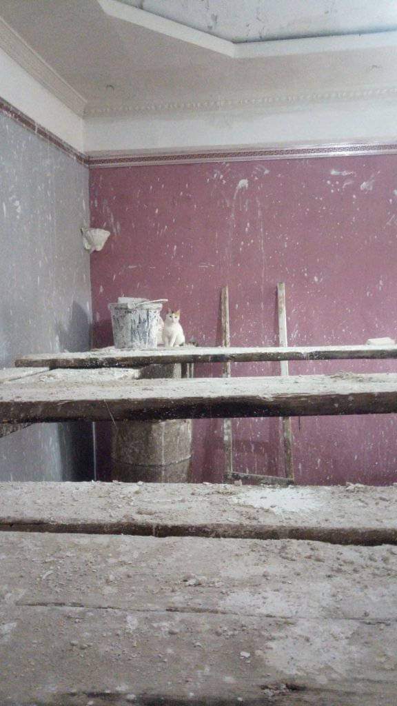 ابو عادل tweet media