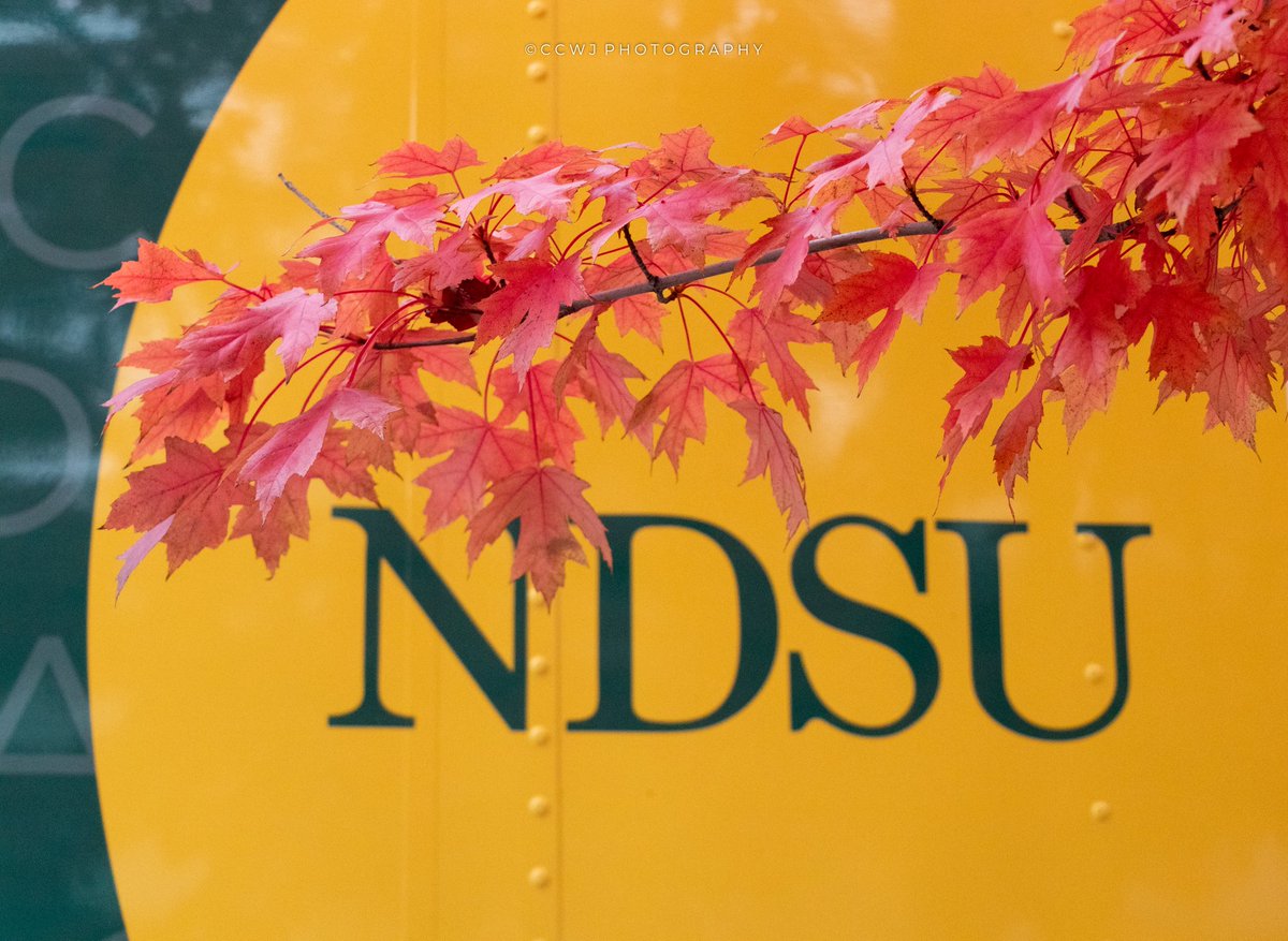wathsalajaya's tweet photo. It is this time of the year ππππππ
#Fall2022 #ndsu #gobison #hellogreenandyellow #ccwjphotography https://t.co/xFCm3i6Pmx