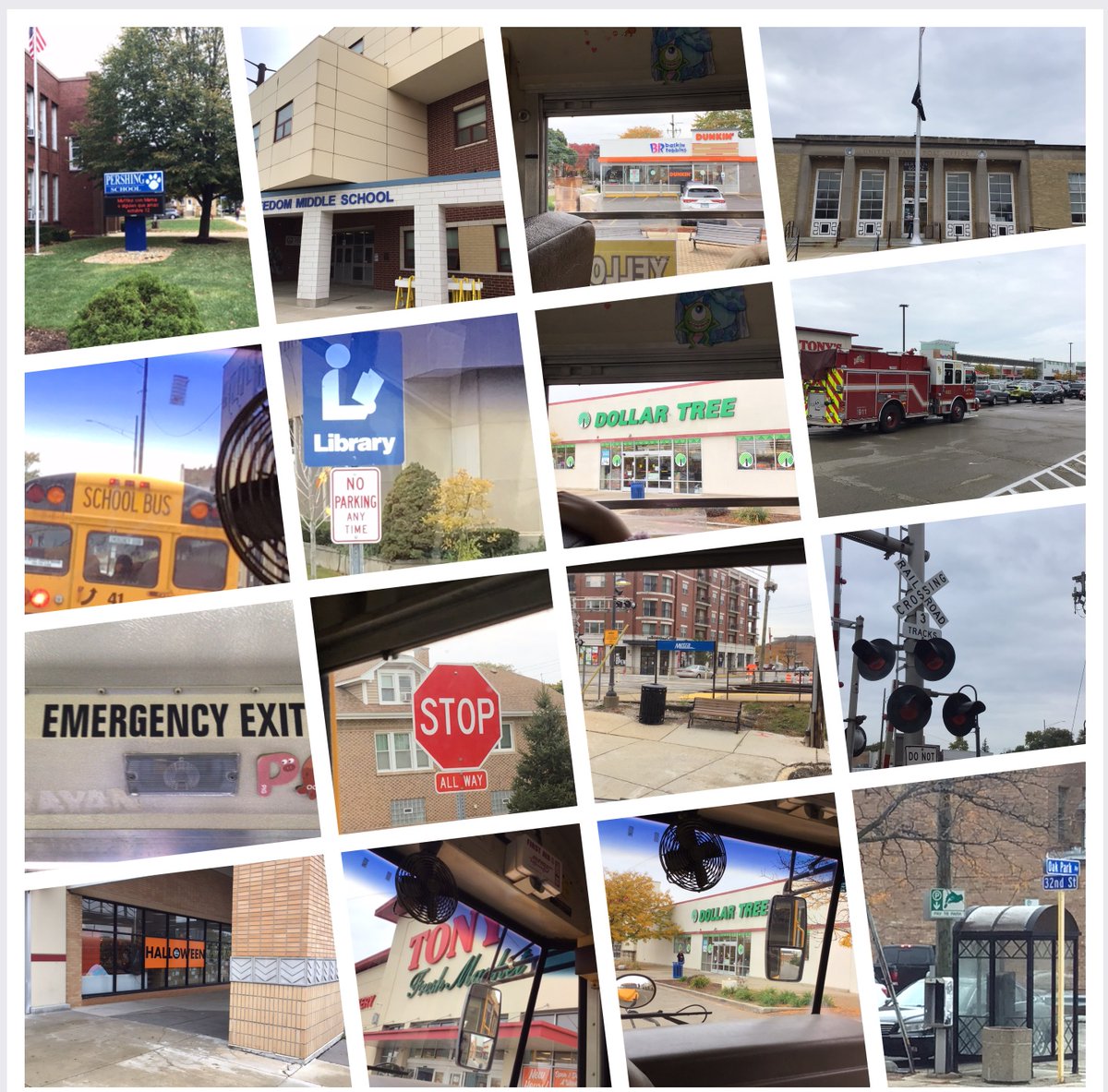 Lynne DesLauriers tweet media