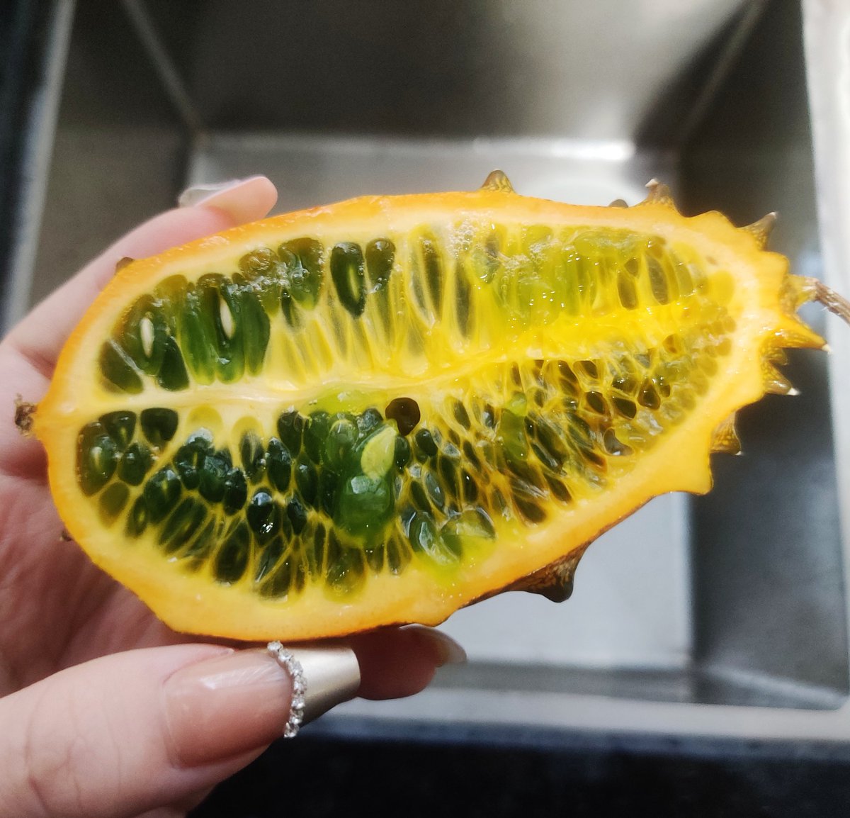 晚上看男生的杯子，国内的设计人群想象力真的不够…小日子连息肉阴齿都能做出来咱们还在做对称结构，贯通都算是新设计了唉。棘皮动物的演化过程已经给咱们提供好多样本了[捂脸]