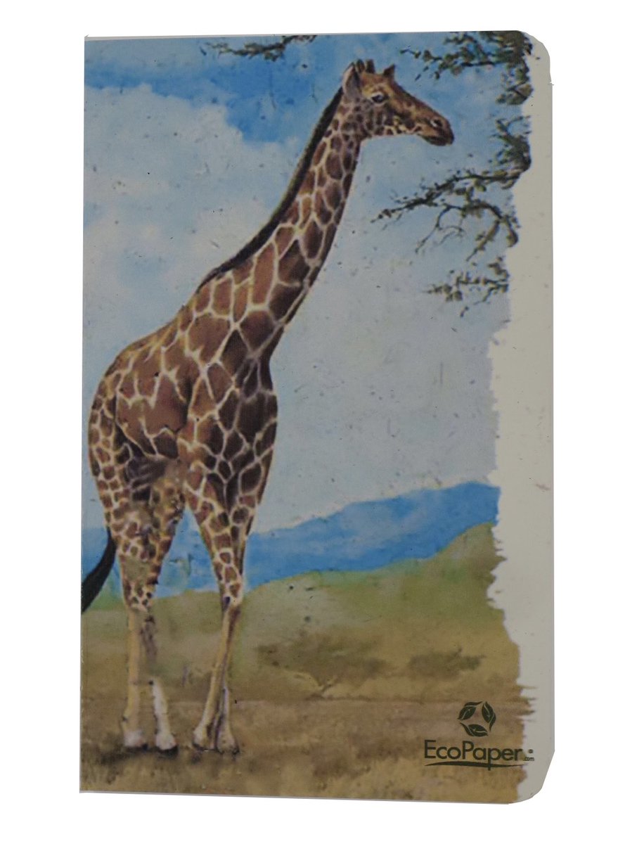Ecopaper's tweet photo. New Giraffe Tree-Free Banana Paper Notebook
When you use #TreeFree Papers the trees are #happy, happy trees support happy #healthy people.ย
https://t.co/aygj9sABUo
#treeless #sustainable #notebooks #giraffes #healthy #vegetarian #journals #nature https://t.co/cRe2Nj8mAf