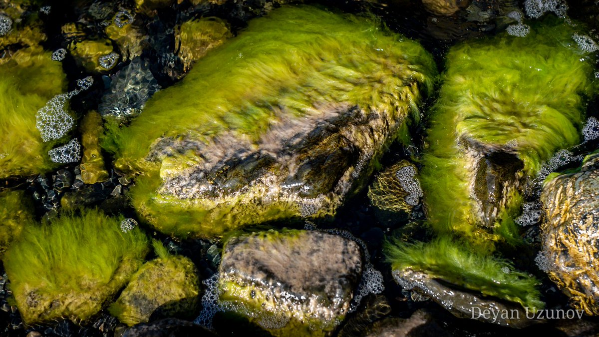 DeyanUzunov's tweet photo. Sea Stones
#seashore #seascape #searocks #infinitystones #seastones https://t.co/lOhnmc4WPh