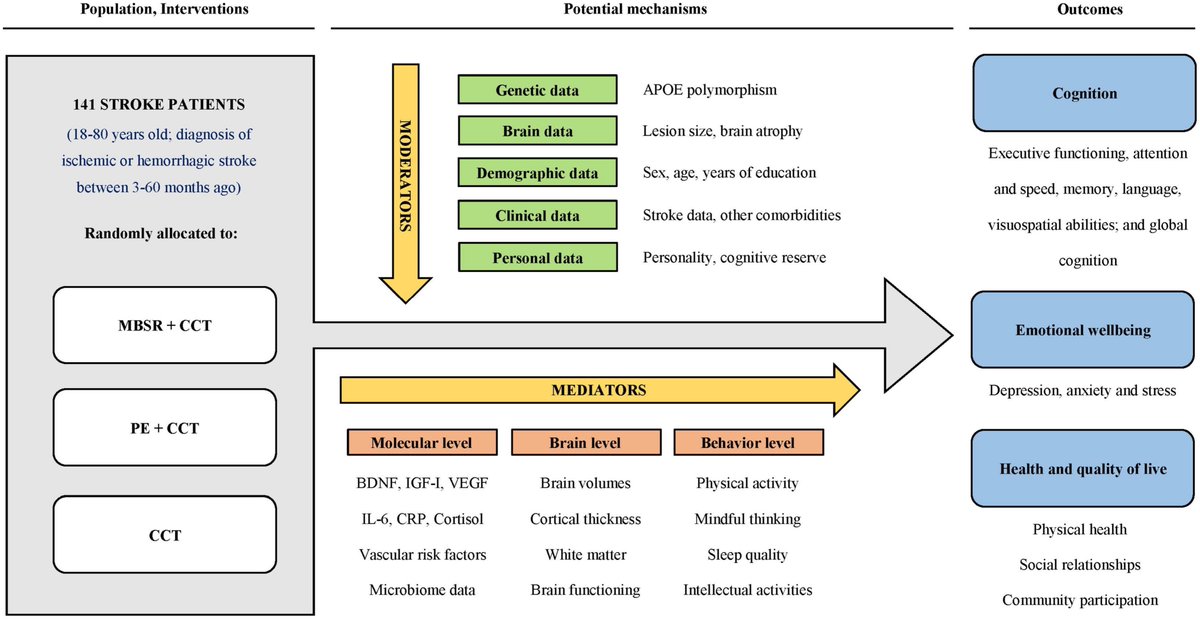 New study protocol 👇

Effects and mechanisms of mindfulness training and physical exercise on cognition, emotional wellbeing, and brain outcomes in chronic stroke patients  🧘‍♀️🏃🧠

frontiersin.org/articles/10.33…

#Stroke #LifeAfterStroke #Mindfulness #PhysicalExercise