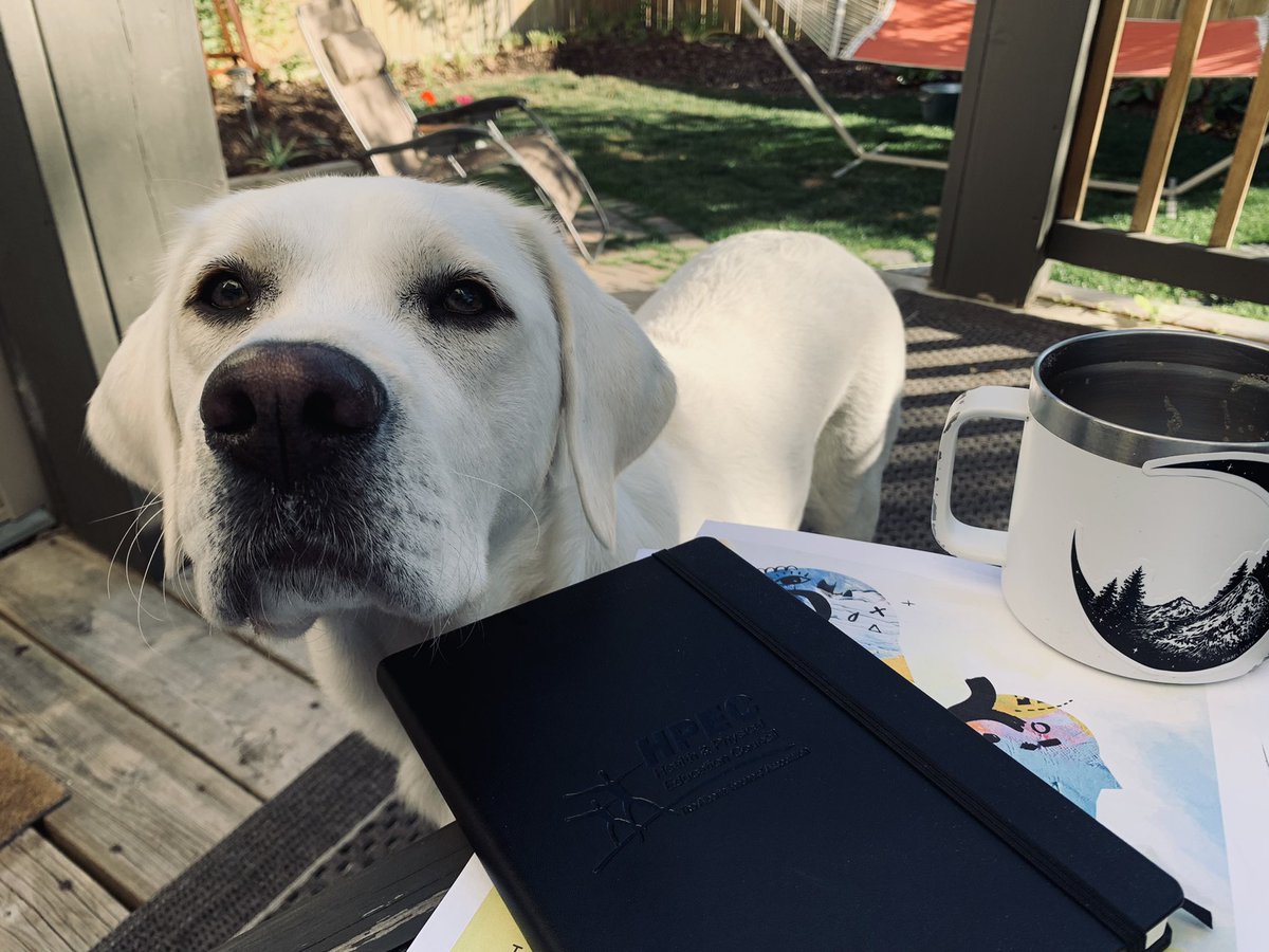 Kicked off our #fieldselfcarestreak with a morning walk, sun on our face, and some reflective practice. Oh and a proper sit down (hot) coffee with actual coffee cream. heartcareeducators.ca ❤️🐾🌕