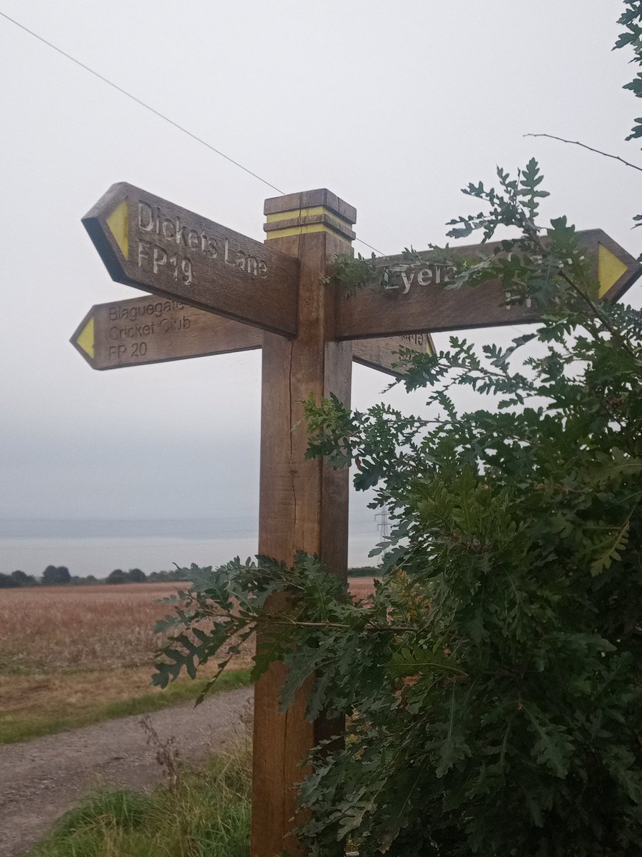 Luckily avoided the rain during a targeted leaflet drop through the back roads of Lathom and Skelmersdale today. A nice change of pace for us!! 

Keep moving forward.