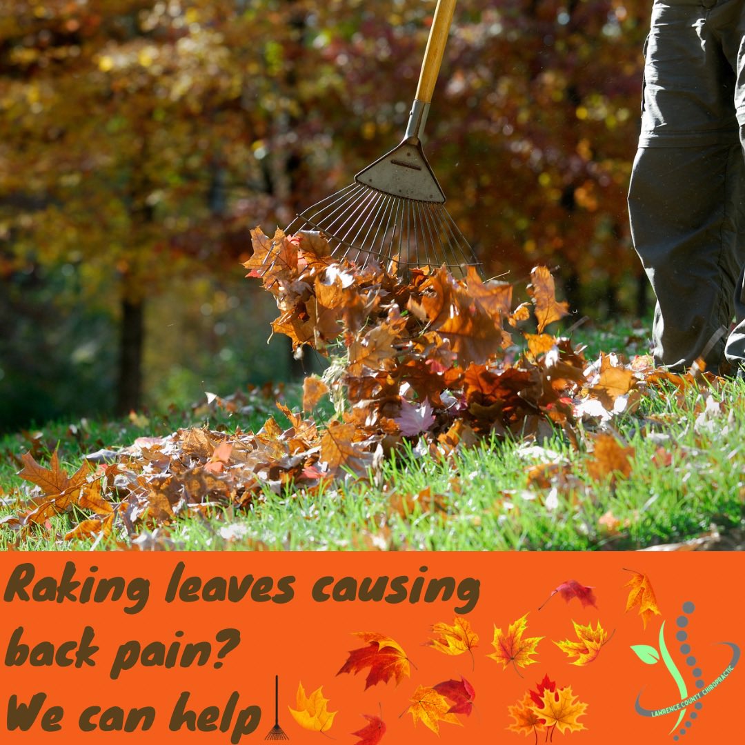 LawCoChiro's tweet photo. Is your back starting to hurt from taking the leaves?🍂Don’t worry we’ve got your back! Give us a call so that we can help make this task a little more enjoyable…pain free!
724-654-2008 📞
https://t.co/HJbkITTXgr 💻 #NationalChiropracticHealthMonth #FrontlineForPain #LawCoChiro https://t.co/RRf9SleFD8