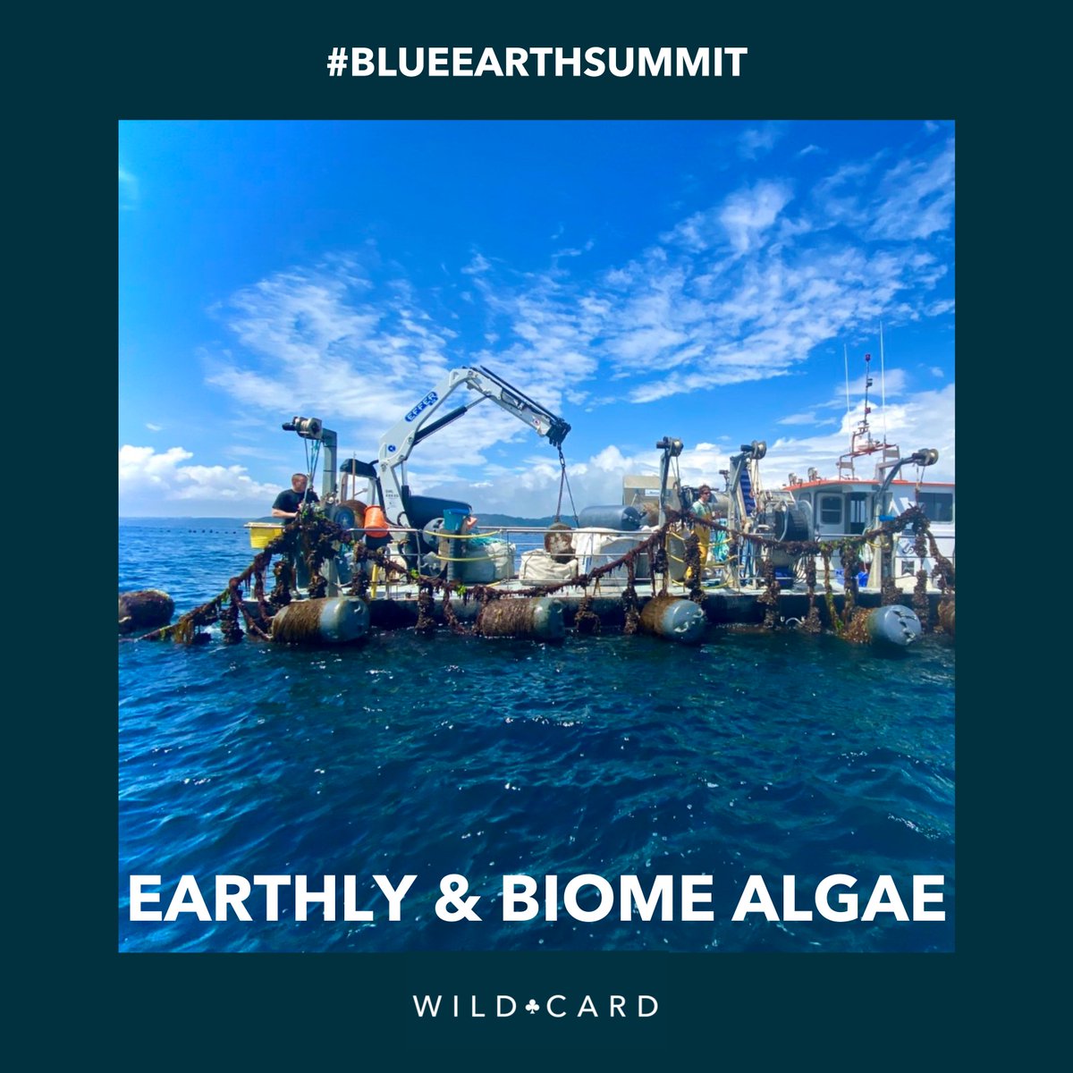 Wild West tweet media