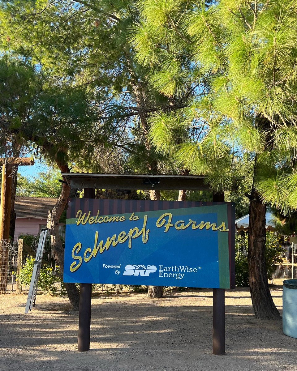 CarmenVarner's tweet photo. Schnepf Farms in Queen Creek, AZ, has an annual Pumpkin and Chili Party through Oct 30. 🎃 The sunflower field, corn maze, rides, and most attractions are included in your admission price. So fun! 🎃 

@VisitMesa @Schnepf_Farms 
#visitmesa #travelwriter #travelwriting #travelblog https://t.co/XDJU25JMij