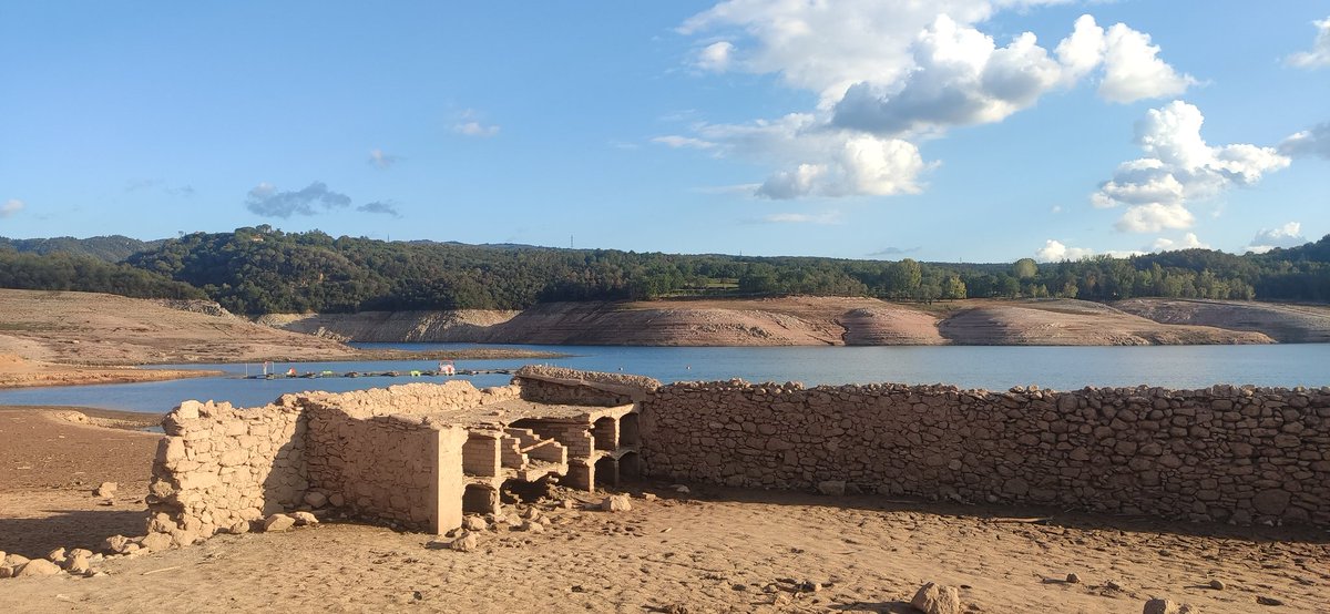 Jordi tweet media