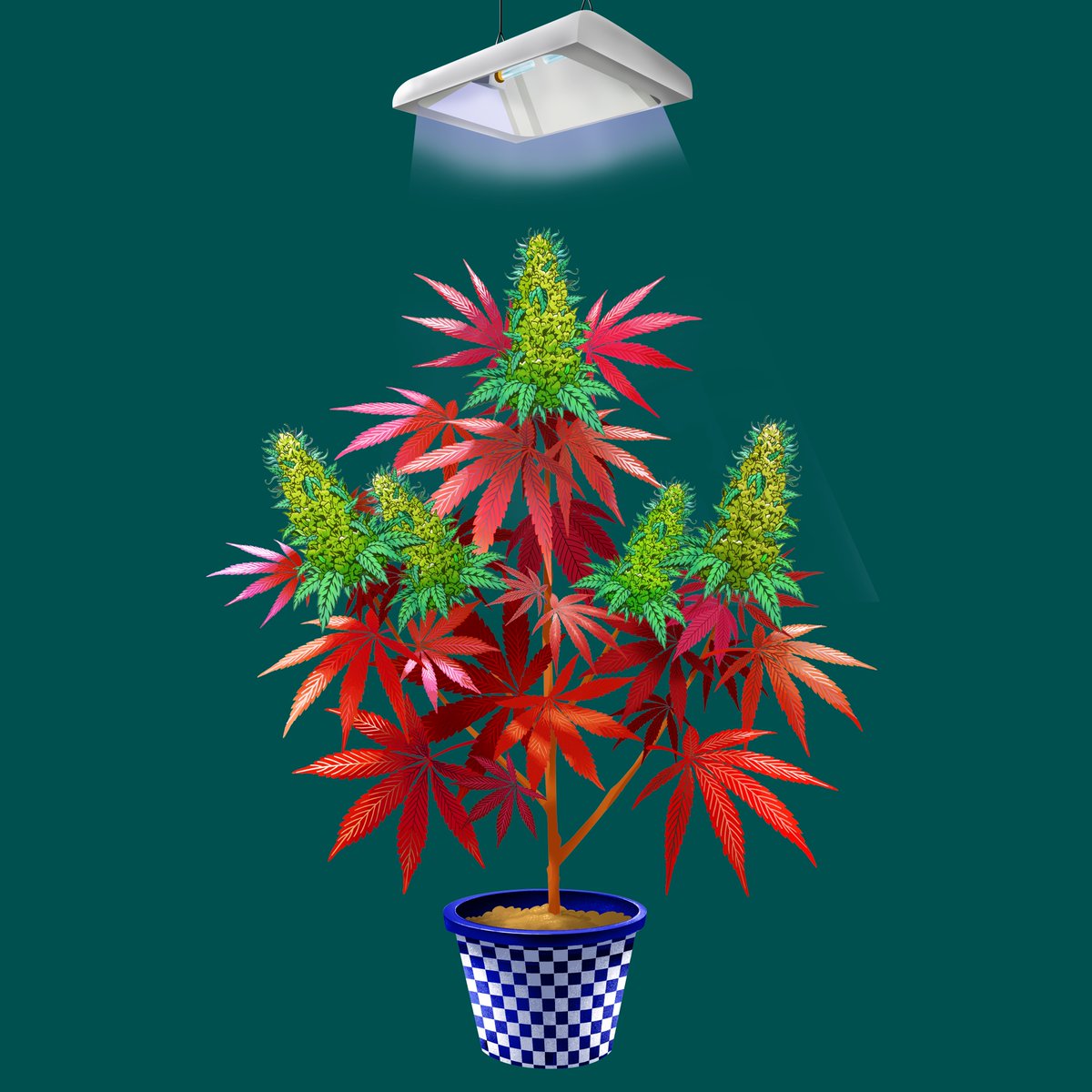 Tokers, don't forget to tap into our weekly competitions with your NFTokin!
app.cryptocannabisclub.com

#CCC #NFT #NFTokin #Toker #Crypto