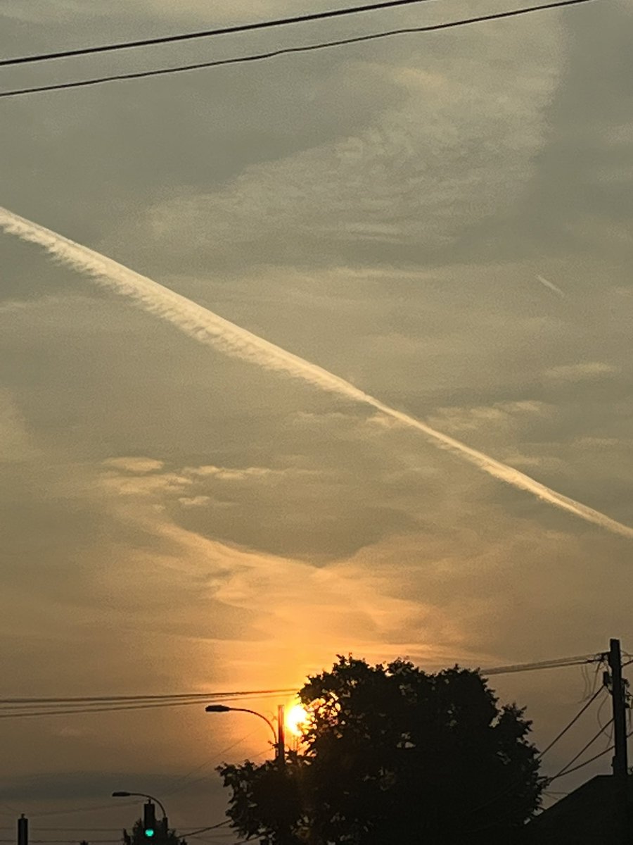 roblxcafe's tweet photo. @momentsofence this morning <33 https://t.co/UJFobTKB5V