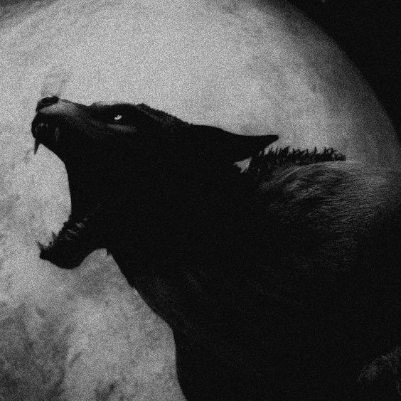 ⠀⠀⠀⠀⠀⠀⠀⠀⠀⠀⠀⠀⠀⠀⠀⠀⠀⠀⠀⠀⠀⠀⠀⠀⠀⠀⠀⠀⠀⠀⠀⠀⠀⠀⠀⠀⠀⠀⠀⠀⠀⠀⠀⠀⠀⠀⠀⠀⠀⠀⠀⠀⠀⠀⠀⠀⠀⠀⠀⠀⠀⠀⠀⠀⠀⠀⠀
                       𝕿𝖍𝖊 𝖂𝖔𝖑𝖋 
     𝑀𝑖𝑠𝑡𝑒𝑟𝑖𝑜, 𝑠𝑖𝑔𝑖𝑙𝑜, 𝑠𝑒𝑑 𝑦 𝑠𝑜𝑚𝑏𝑟𝑎𝑠

⠀⠀