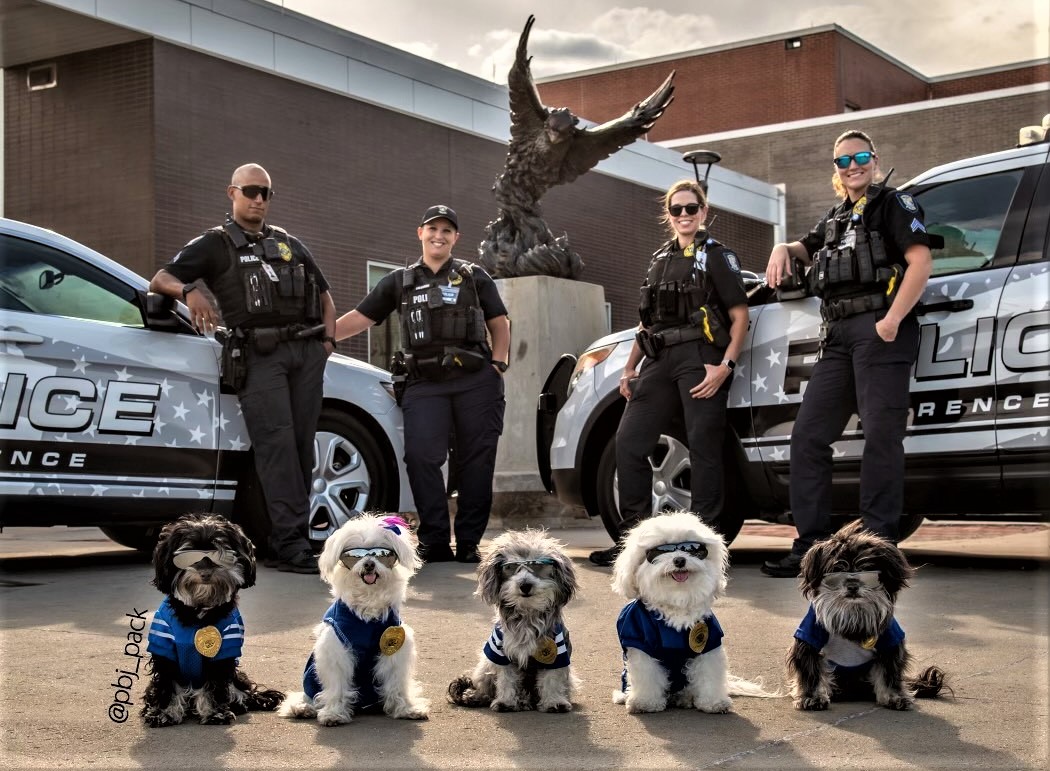 LawrenceKS_PD's tweet photo. Jax, Pebbles, Phoenix, Bruiser and Benji from @pbj_pack suddenly showed up with the impression we have a K9 Puppy Academy -- sunglasses, badges and all.  Uhm - better go have a quick chat with @ChiefLockhart.... https://t.co/kYNpladmNB