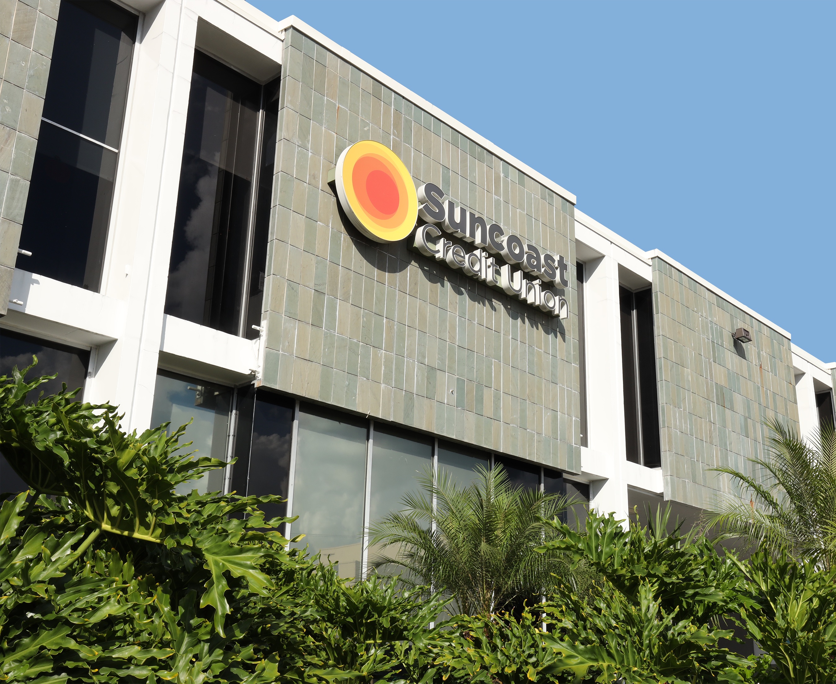 Suncoast Credit Union Brandon: Your Blueprint For Financial Mastery