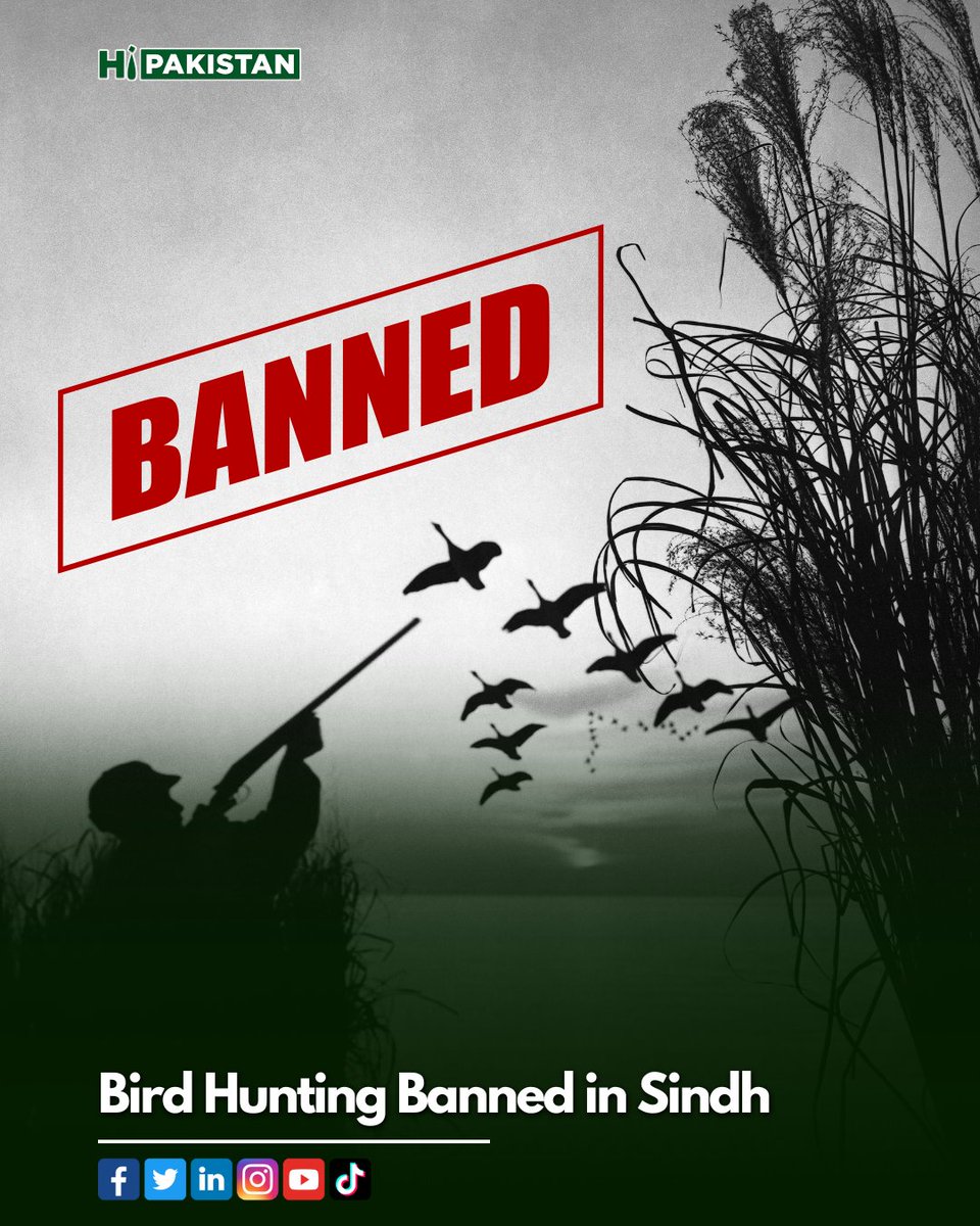 hipakistanpk's tweet photo. Bird Hunting Banned in Sindh
(Read more on our Instagram: https://t.co/TIM8g2wUiA)
#sindh #sindhgovernment #muradalishah #cmsindh #cmsindhmuradalishah #birdhunting #birdhunter #birdshunting #birdhuntingseason #wildlifelovers #wildlifephotographer #hipakistan https://t.co/YmyeHcfTFi