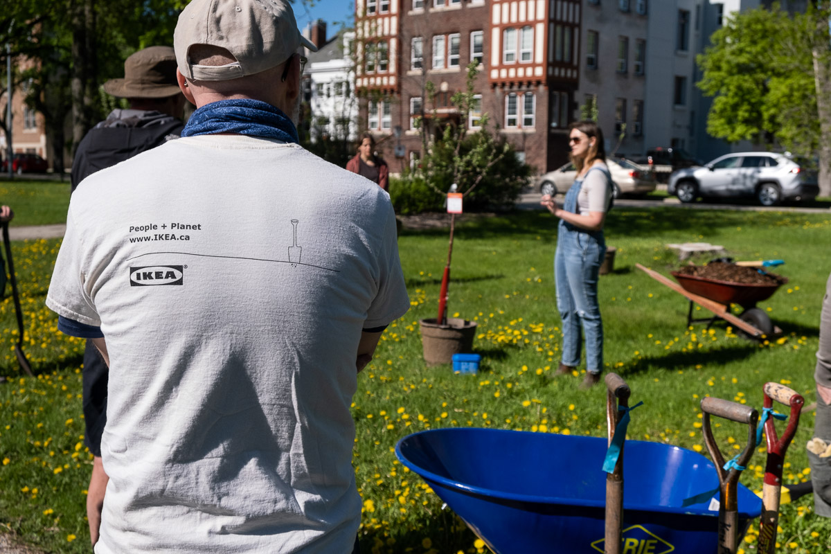 TreeCanada's tweet photo. . @TreeCanada and @IKEACanada have been partners since 1996 and have planted over 60,548 trees across Canada! This year, IKEA has supported 14 projects through our #PartnersInPlanting and #CommunityTreeGrants programs! https://t.co/Rfje54myqu