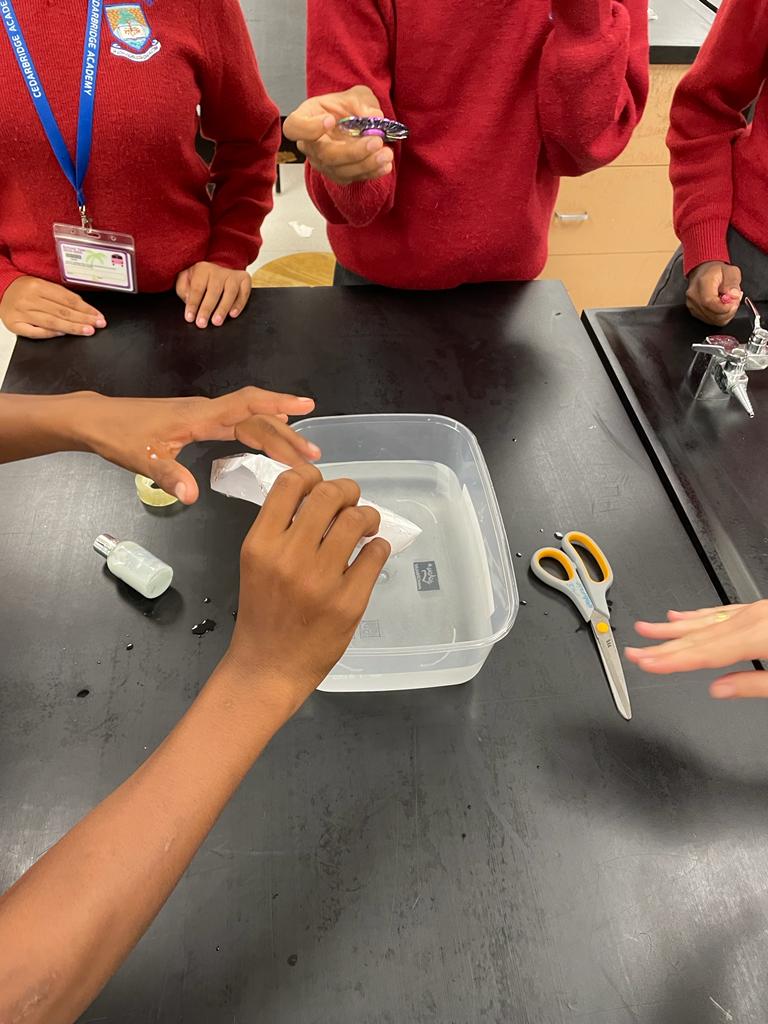 As part of the STEM signature program at Cedarbridge Academy, the BZS taught the students "The Introduction to Science and Engineering Practices" - a class focused on learning the importance of prototyping in the engineering design process.