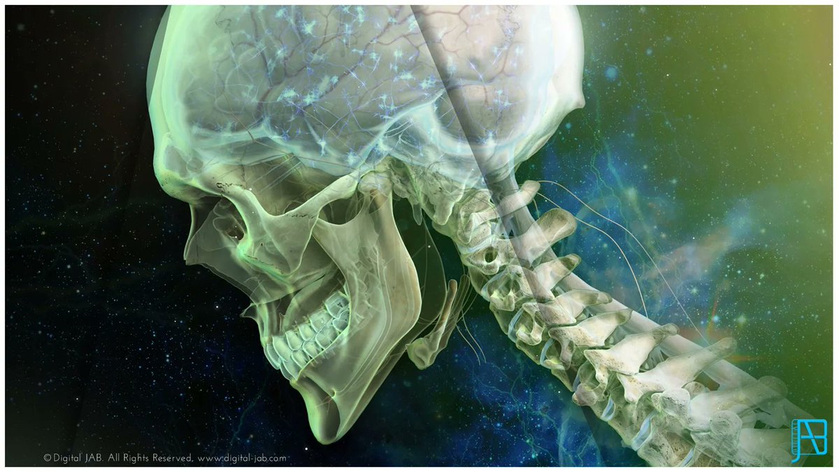 Medillustrates's tweet photo. Creative illustration of skeletal anatomy and nervous system depicting brain synapse by #DigitalJab.
Explore more work by Digital Jab: https://t.co/9xLtIL2lhO
#synapse #nervoussystem #neuroscience #neurobiology #skeletal #medical #illustration #medicalillustration #sciart #3D https://t.co/LhUzCKnnRL