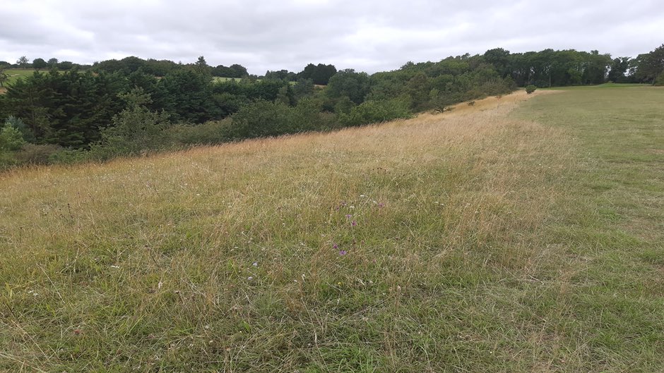 A great pleasure in visiting 2022 <a href="/golfenvawards/">Golf Environment Awards</a> outstanding project winner <a href="/CirencesterGolf/">Cirencester Golf Club</a> who selected <a href="/strigroup_/">STRI Group</a> #agronomy visit as part of the winners prize. Certainly a day for sharing knowledge blending ecology with agronomy. Great projects ongoing on both fronts