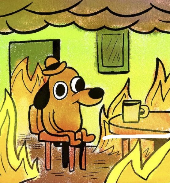 Kelty Beattie tweet media