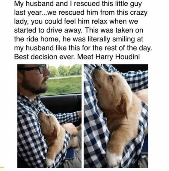 WholesomeMeme's tweet photo. https://t.co/08RsVGDuT2
