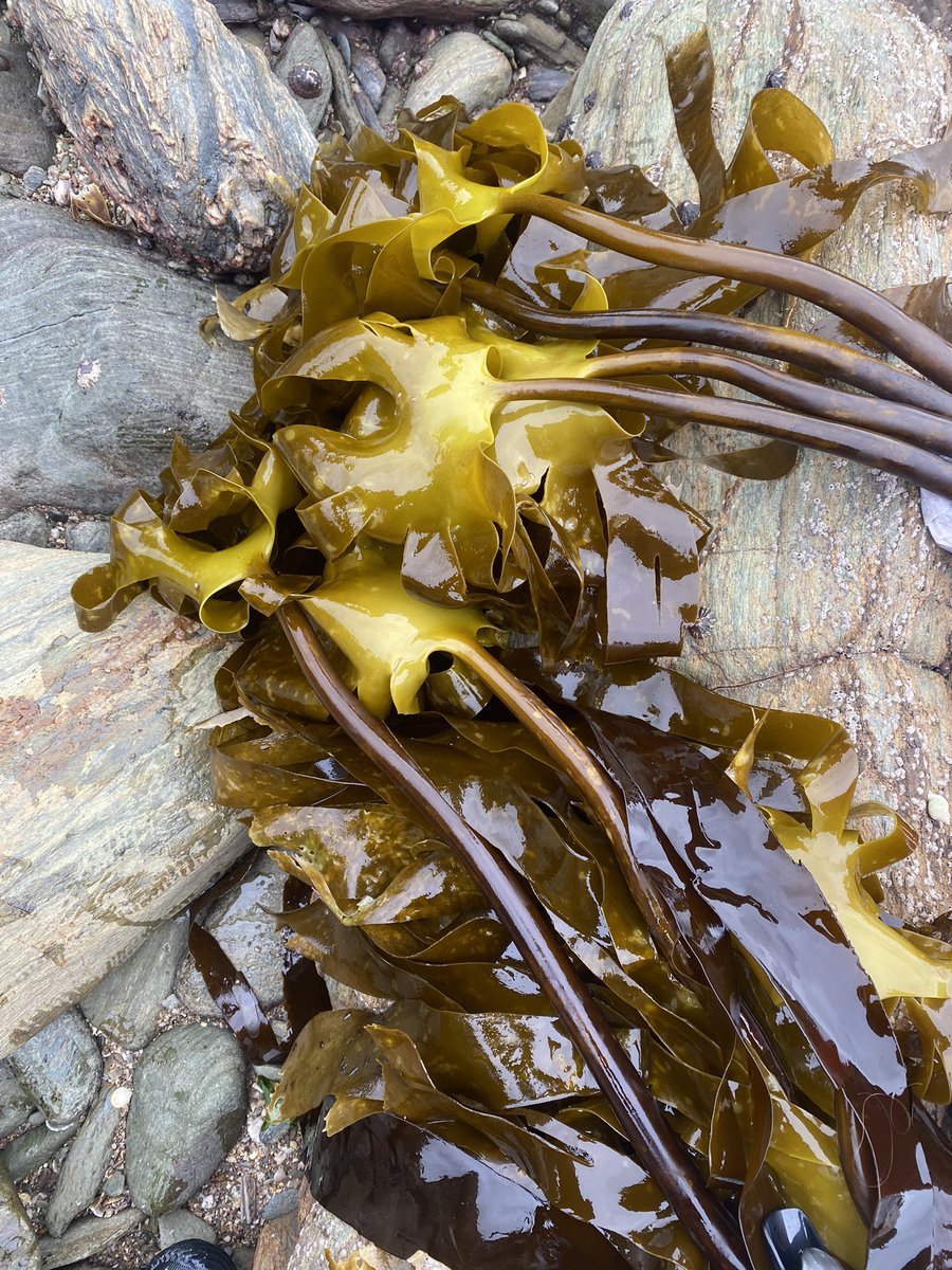 Emma Stuart tweet media