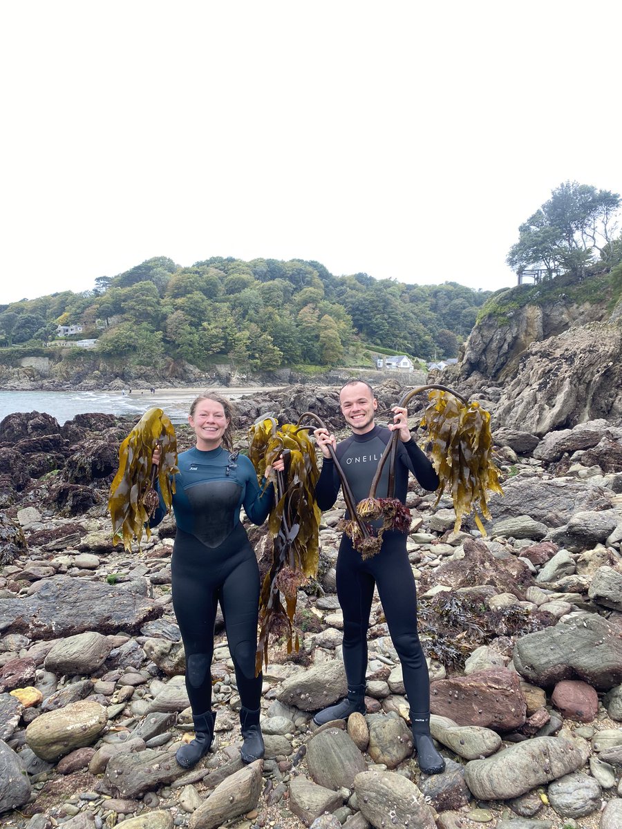 Emma Stuart tweet media