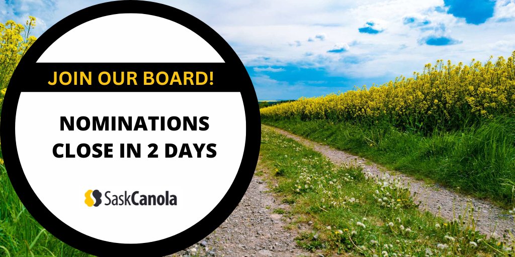 Our deadline for Board nominations is fast approaching! If you or someone you know would like to play a leadership role in the canola industry, now is the time to get involved. Find out more here: saskcanola.com/news-articles/… #canola #board #nominations #SKAg