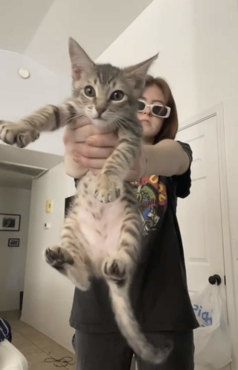 abby_deam's tweet photo. if you see this man, please tell him he’s the cutest little man. https://t.co/q3FcMazxeh
