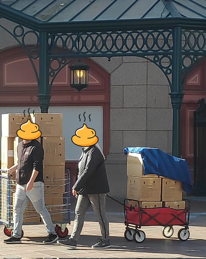 Disney parks guests with wagons of merchandise