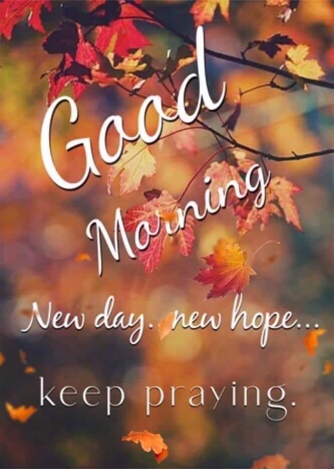 Michelle (@michell66803285) on Twitter photo 