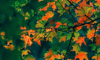 EC-Retail21 tweet media