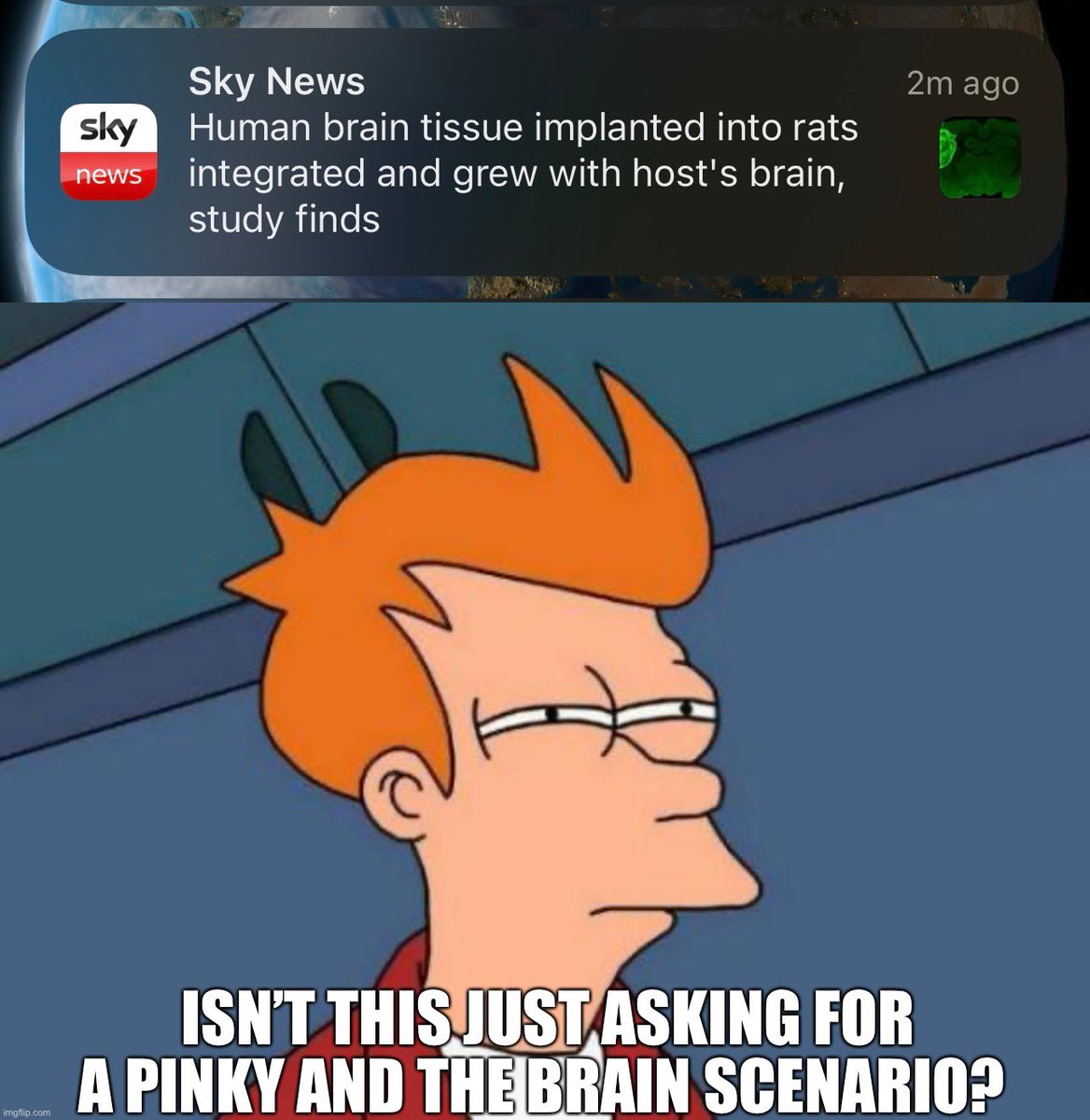 chrisdevries's tweet image. #news #skynews #pinkyandthebrain #science