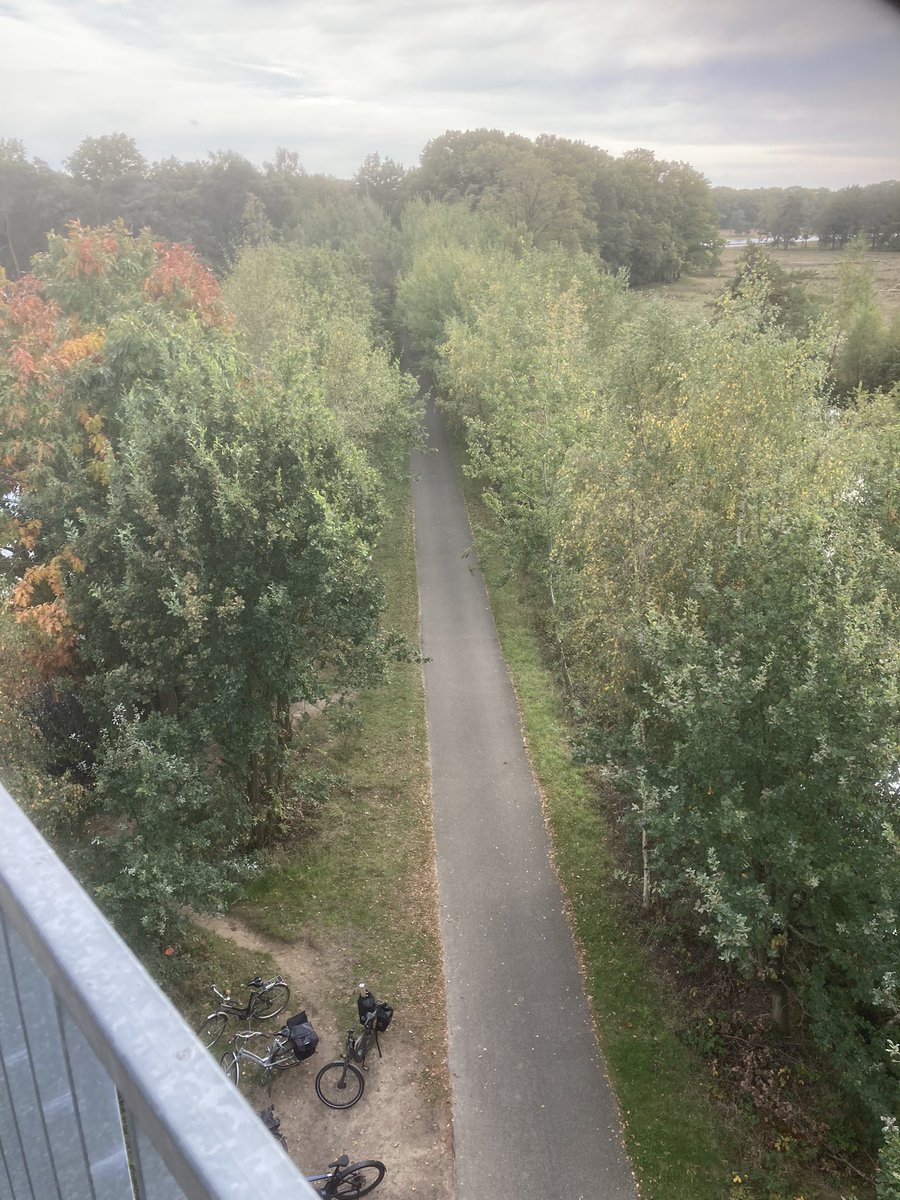 Rik Grashoff tweet media