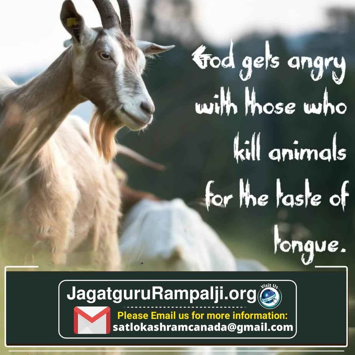 A goat or a cow is also the child of that Supreme God and by Killing them one incurs heinous sin. That is the sole reason God has laid down the rule that all human beings should be vegetarian.
Sant Rampal Ji

#PortfolioDay