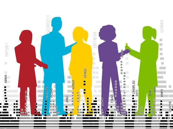 broadinstitute's tweet photo. In the largest genome-wide association study to date, researchers from the GIANT consortium have uncovered nearly all the common genetic variants that influence height. https://t.co/H1pODldfqi https://t.co/SHcUXfWbTu