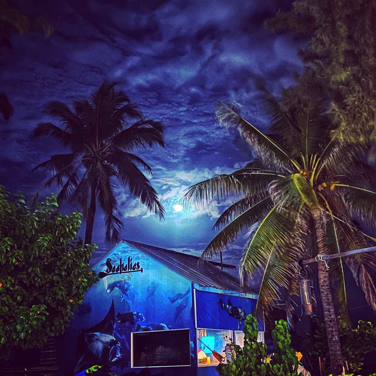 asofwan2003's tweet photo. #tonightsmoon #moon #moonlight #moon_skyclouds #tonight #fullmoon #nightview #nightphotography #hulhumale #moonrays #rayreflects #coconutpalm #watersports #seaholics #seaholicsmaldives #seaholicswatersports #ocean #moonlight #moonlovers #moonphotography #moonart #Moonlighting https://t.co/lNNrPwINNh