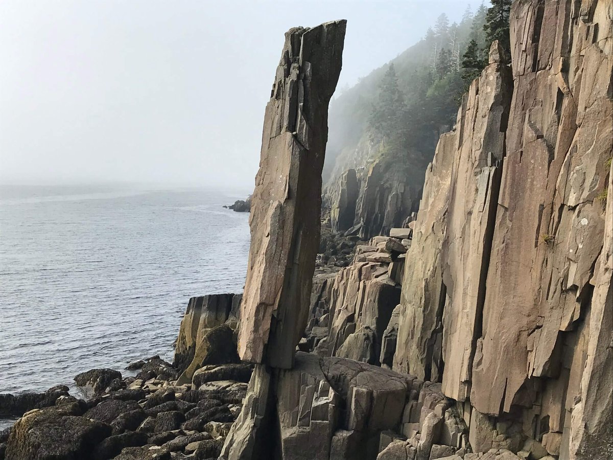 onefoxfaraday's tweet photo. Assignment 7: Find an image online of a natural setting you have never visited. Use the image to create a desktop monument. #TheArtAssignment https://t.co/DLin8jDNty