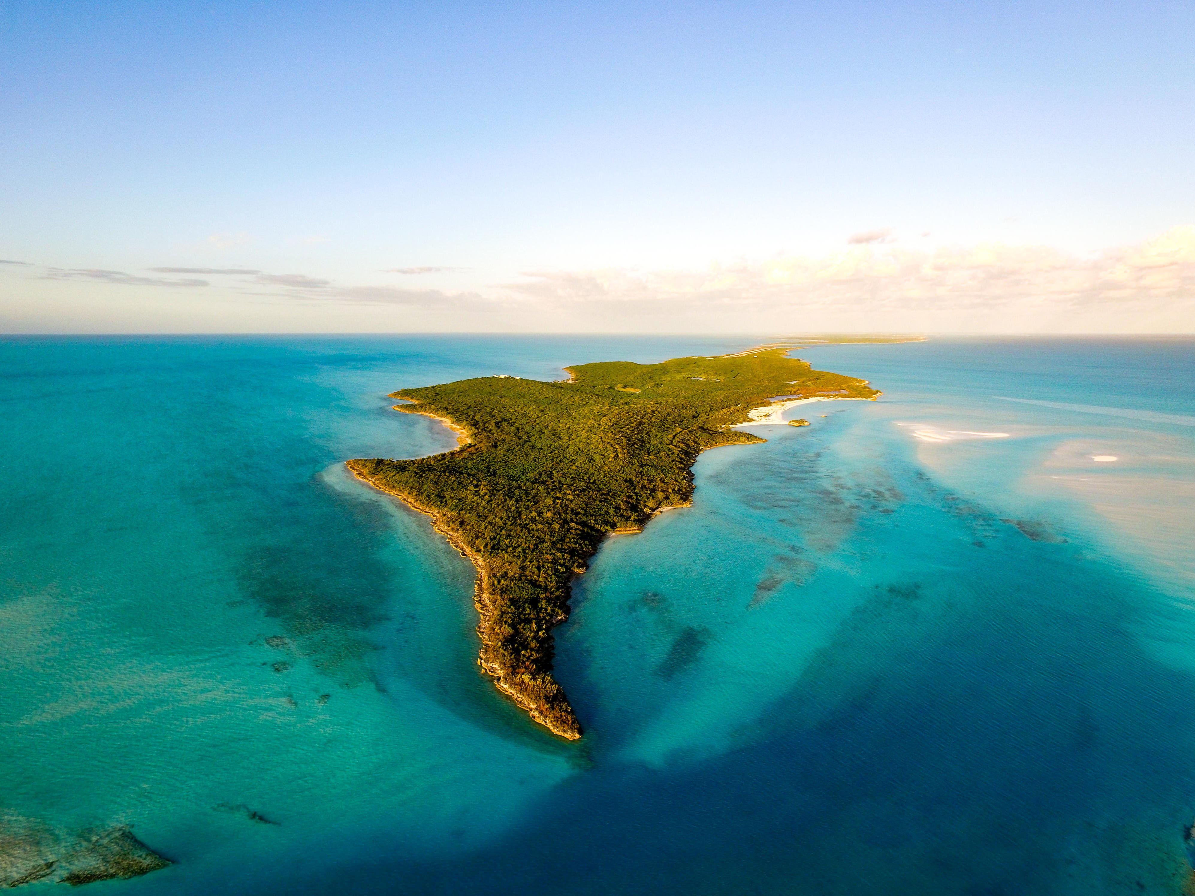 coorecrenshaw on Twitter "One of our spring '23 projects. Torch Cay