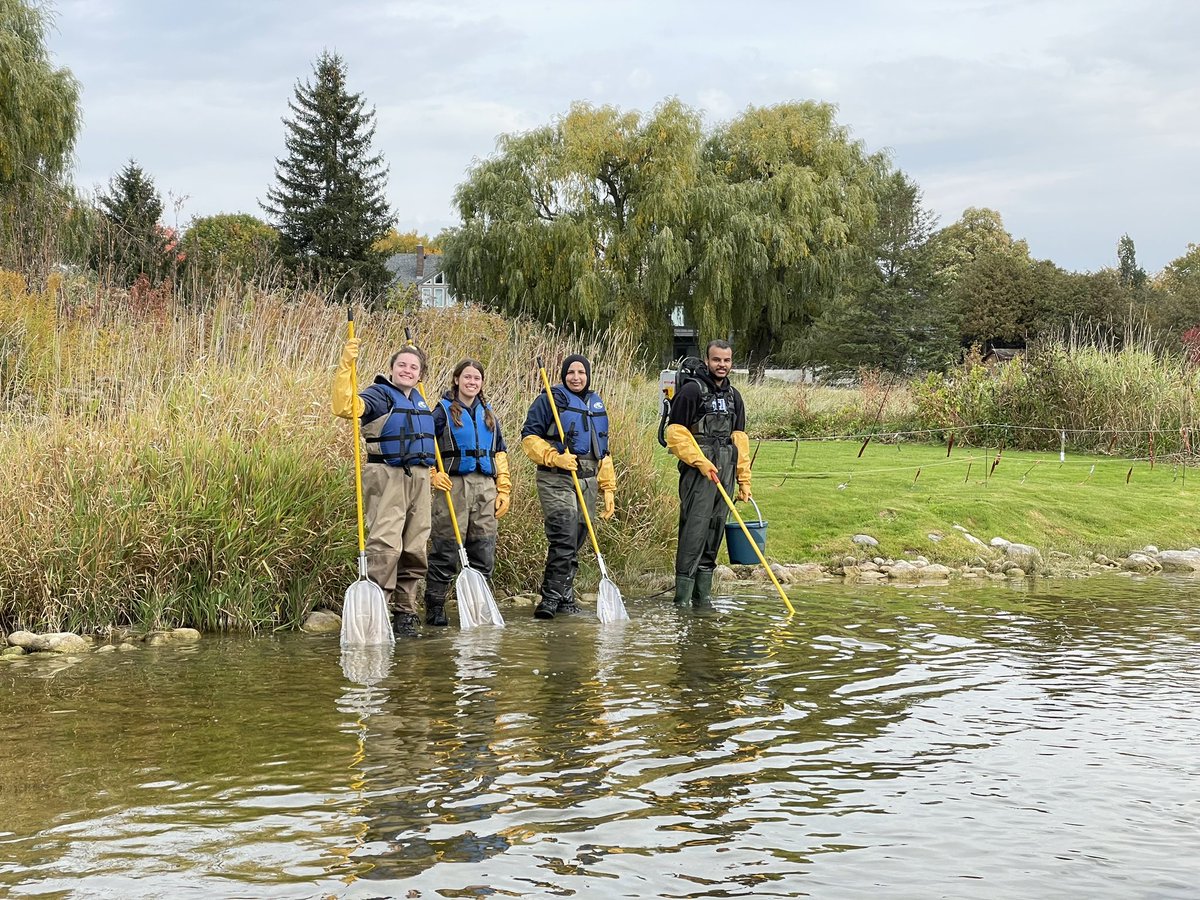 pcraig77's tweet photo. A great fall day for field work! Lots of fish (darters and shiners) and many projects happening all at once…behavioural work, thermal tolerance, and hypoxia tolerance #climateeffects plus a cool side catch of a four toed salamander https://t.co/xWE8TUsePW