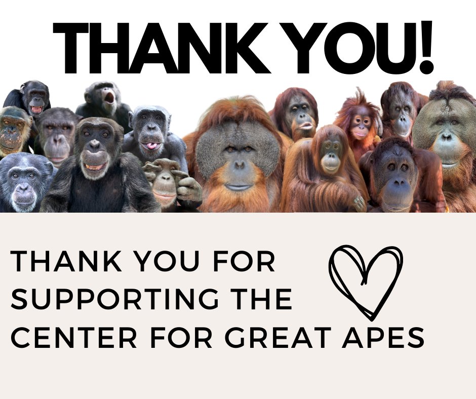 Jane Watkins tweet media