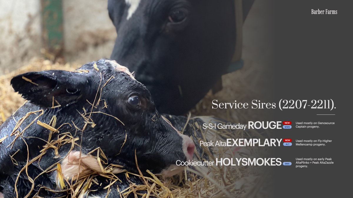 Service Sires from Jul-Nov 22

We've used the last of our stocks of Holysmokes &amp; Exemplary - ready for some fresh bulls after December🧐

Team Averages: +3672LPI, +5Conf, +3052TPI &amp; NM$995.