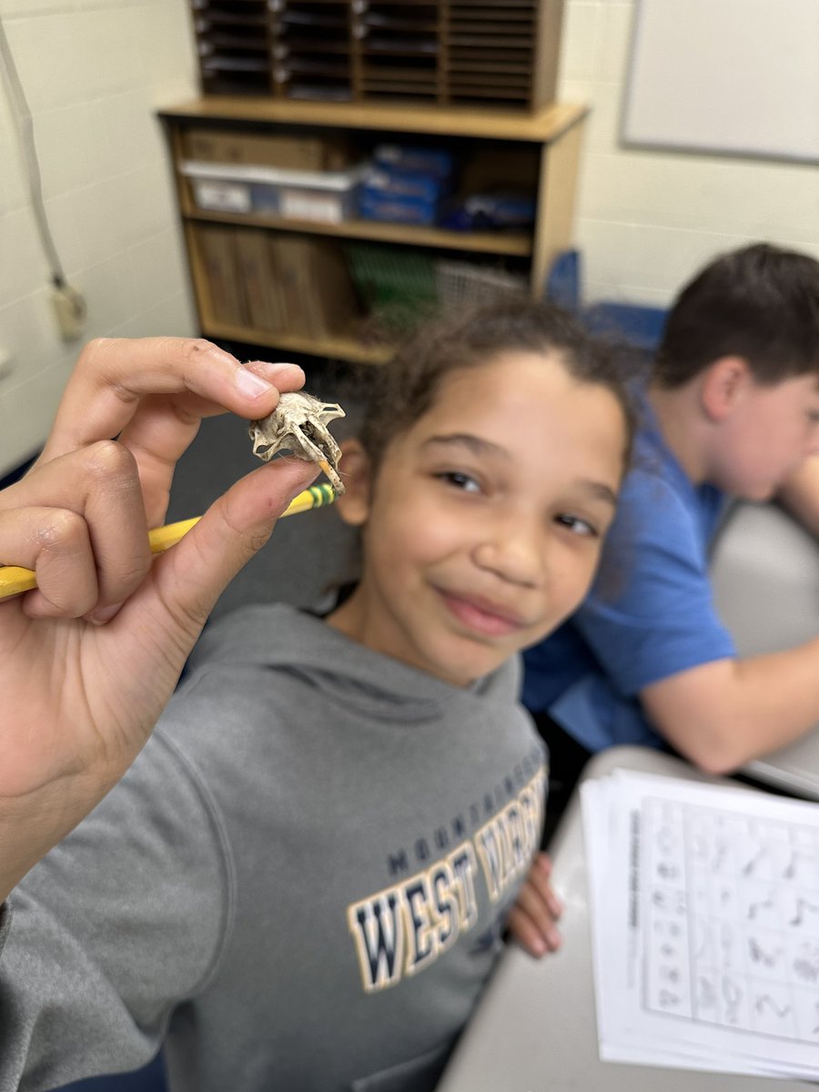 MrGoodine's tweet photo. Who's hungry? What did our owls eat? It's all part of the food web. #kenstonengaged @KenstonKIS @KenstonSchools #myohioclassroom https://t.co/Wd5klt0sYr