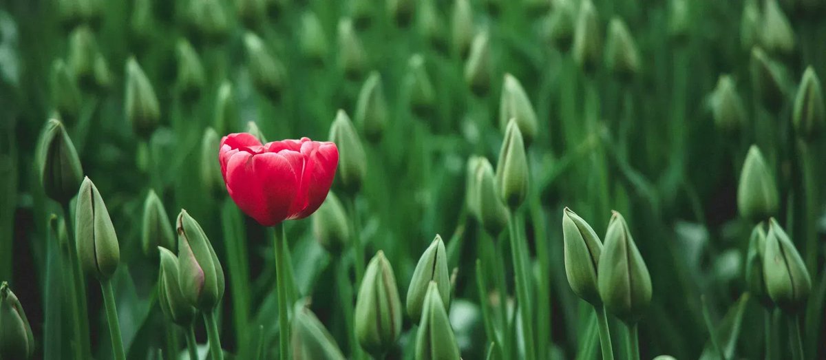 simonsgroup's tweet image. If you’ve ever been tempted to grab a #statistic for your #website or other #content from a random source, don’t do it! Here’s what to do instead: buff.ly/3Tl6LMD

#TruthBehindJournalism #Verified #ContentWriting #contentcreation