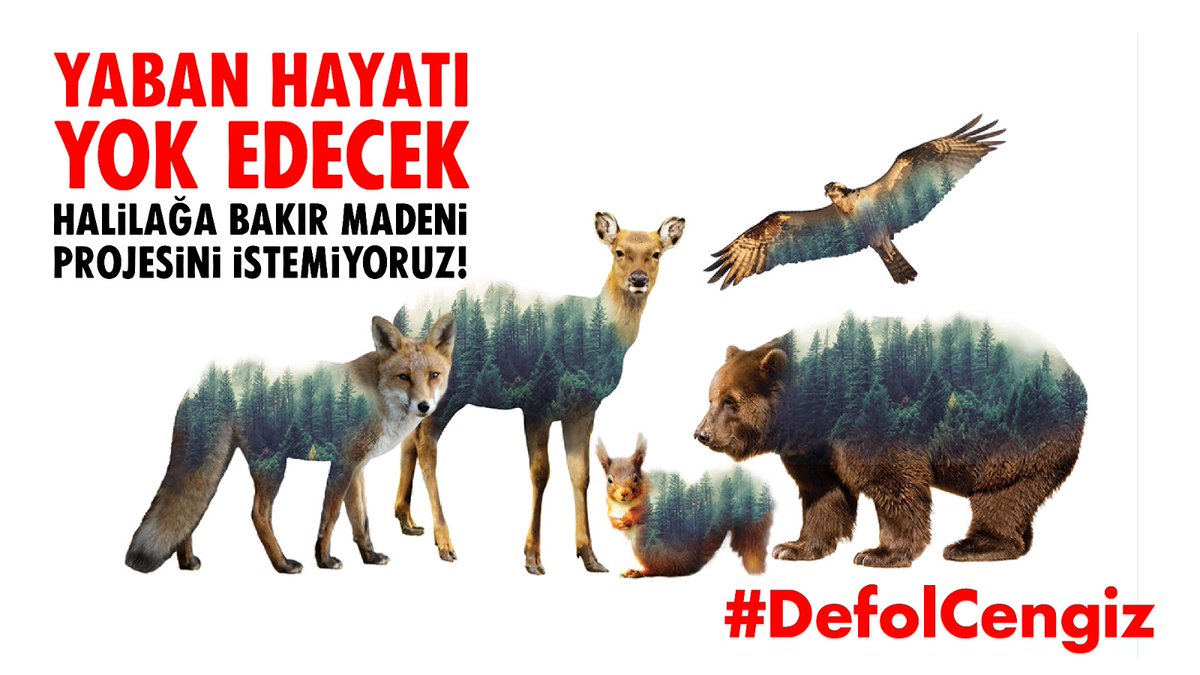 Cengiz Holding ve ortakları ülkenin dört bir yanında yıkım projeleri yaparak 
yaban hayatı yok ediyor. Kazdağları'nda maden projesi istemiyoruz! 
#DefolCengiz