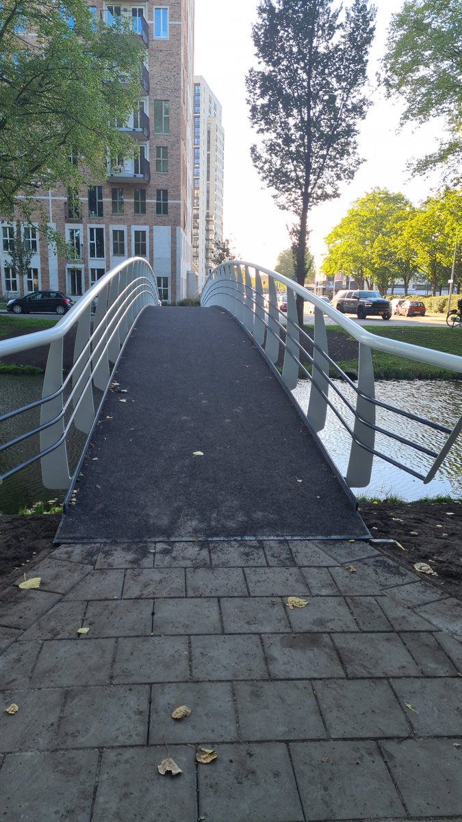 WA_Paddepoel's tweet photo. Vandaag was de feestelijke opening van de Wilgenbrug gelegen aan de Dierenriemstraat. Verbinding tussen #Paddepoel en #Selwerd #GRN https://t.co/BongGW5sDr