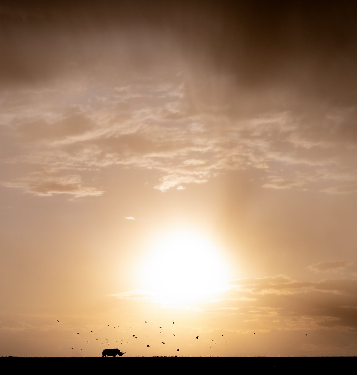 George Benjamin tweet media