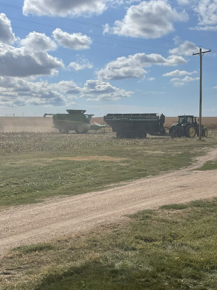 High Farm News tweet media