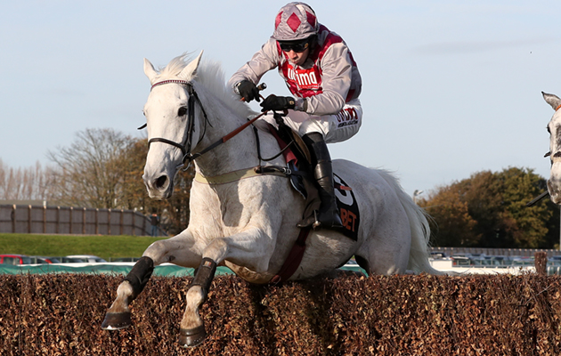 HorseRacing.net tweet media