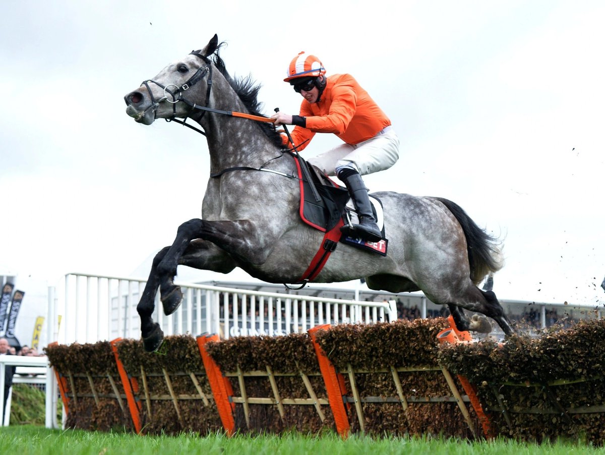 HorseRacing.net tweet media